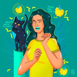 Diseño grafico panama