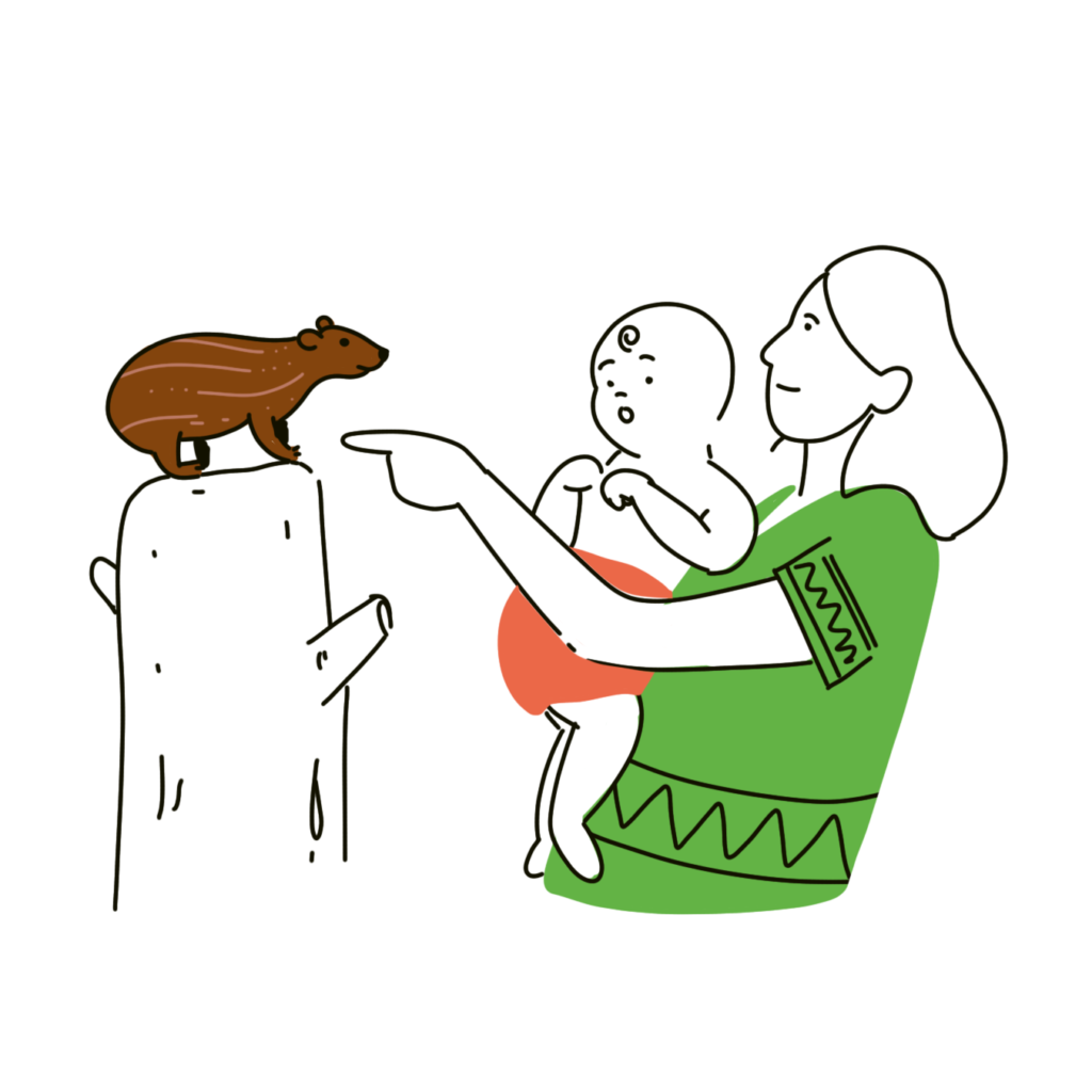 Diseño Gráfico - Ilustraciones para Manual de embarazo Ngöbe Buglé