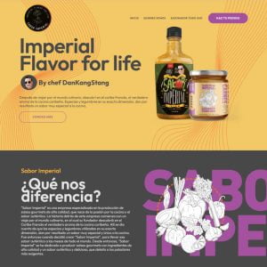 Web Design Panama
