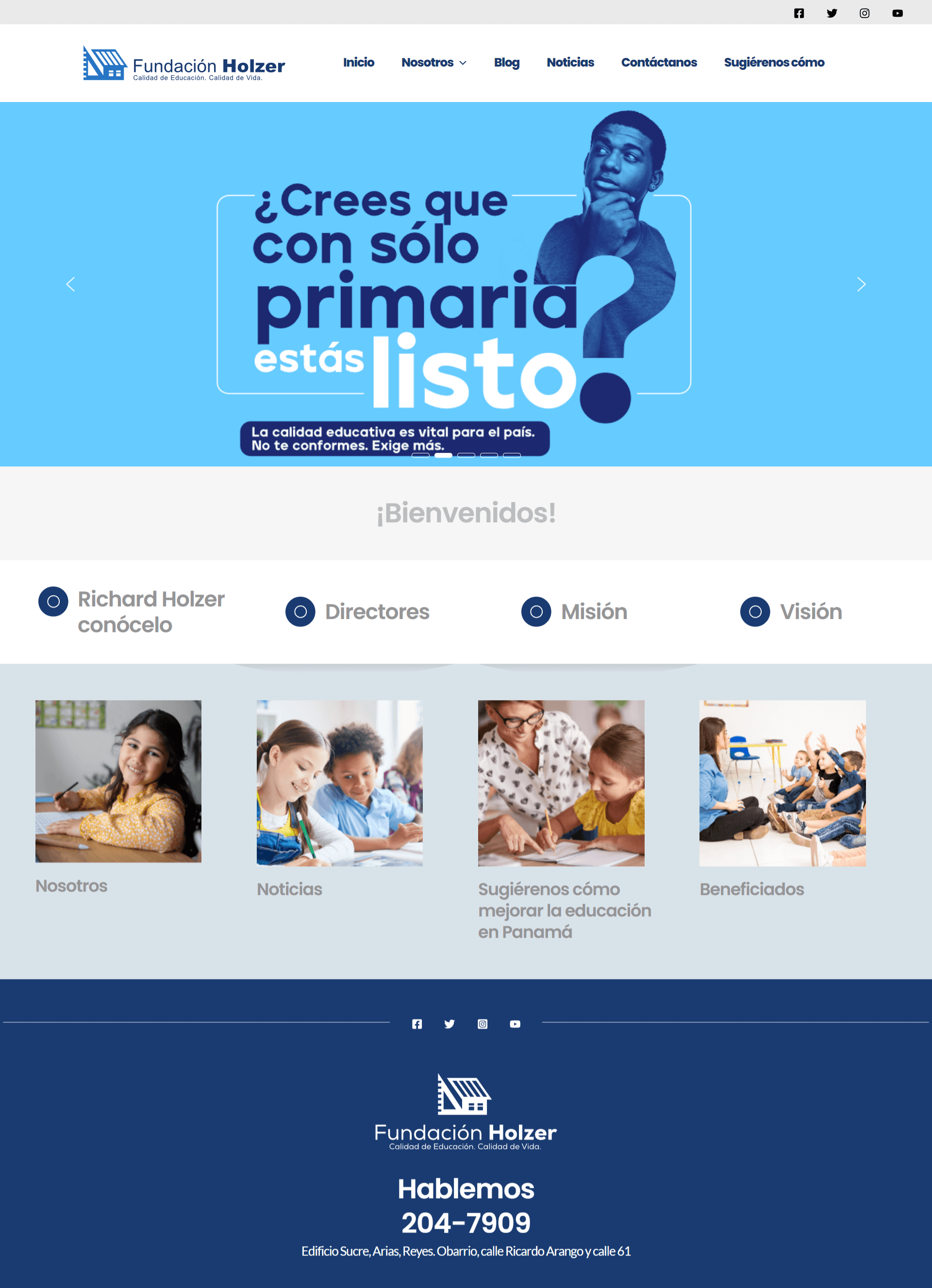 Diseño Gráfico - Fundación Holzer - Implementación Web Wordpress